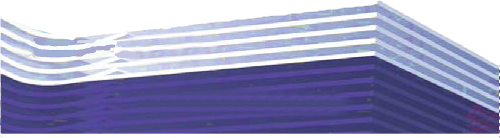 Logo TFV S.L.U 2
